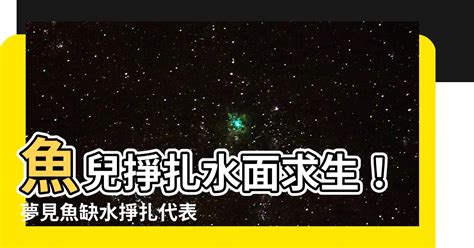 魚代表數字|夢見魚代表數字